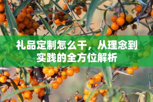 礼品定制怎么干，从理念到实践的全方位解析