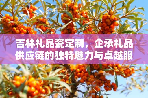 吉林礼品瓷定制，企承礼品供应链的独特魅力与卓越服务