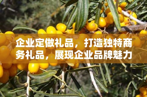 企业定做礼品，打造独特商务礼品，展现企业品牌魅力