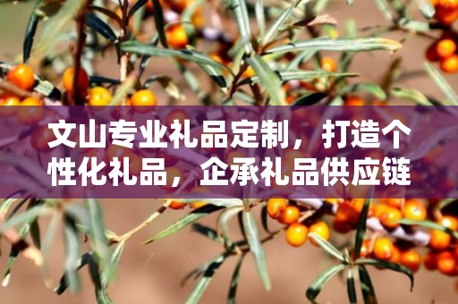 文山专业礼品定制，打造个性化礼品，企承礼品供应链助力商务之选