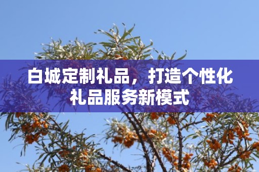 白城定制礼品，打造个性化礼品服务新模式