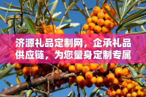 济源礼品定制网，企承礼品供应链，为您量身定制专属礼品