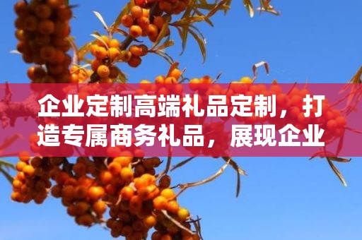 企业定制高端礼品定制，打造专属商务礼品，展现企业独特风采
