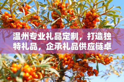 温州专业礼品定制，打造独特礼品，企承礼品供应链卓越服务