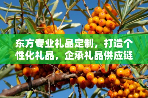东方专业礼品定制，打造个性化礼品，企承礼品供应链助力商务发展
