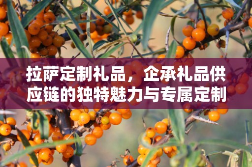拉萨定制礼品，企承礼品供应链的独特魅力与专属定制体验