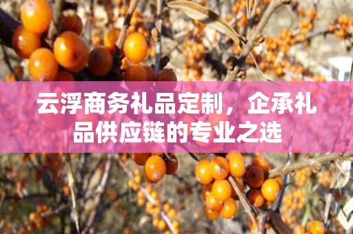 云浮商务礼品定制，企承礼品供应链商务礼品定制公司